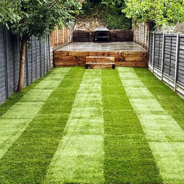 Image shows a lawn which has been renovated by Thomas Charles Landscapes' lawn care services