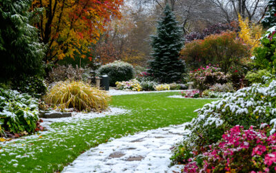 Start the New Year with a New Garden: Why Winter is the Perfect Time for Landscaping