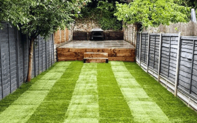 Is Your Lawn Beyond Saving? When to Choose Returfing Over Regular Lawn Care