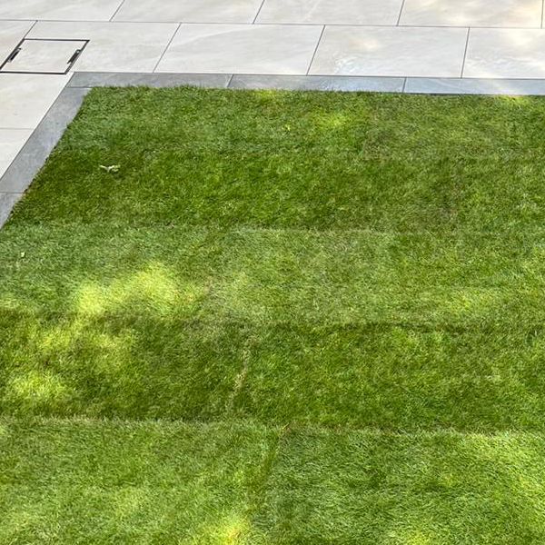 Image shows newly laid turf. Images depicts Thomas Charles Landscapes professional garden landscaping capability